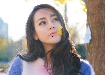 娱乐吃瓜女艺人资源