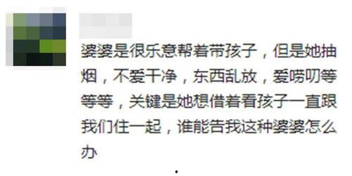 吃瓜大会招标,一场舌尖上的狂欢盛宴